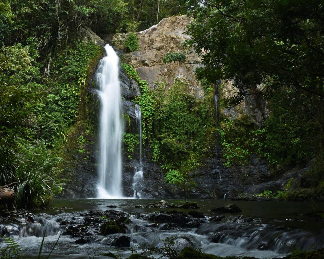 Cassowary Falls Gateway Daintree Eksteriør billede